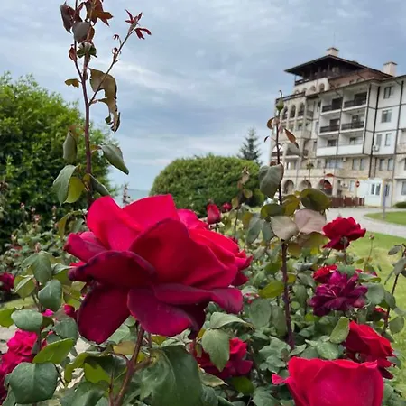 Sea View Apartament In Garden Of Eden Апартамент *